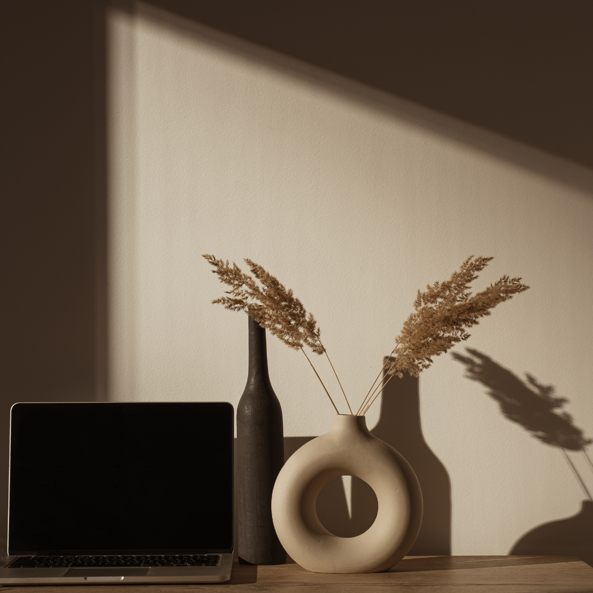 Website Design